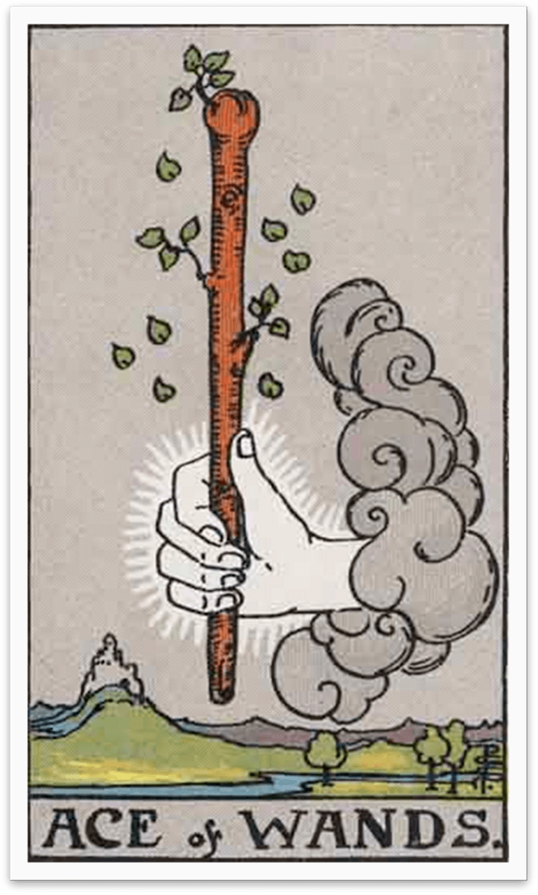 Ace of Wands Tarot Card